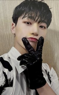 Movement wonderwall 5.0 簽售卡 