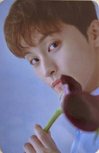 洗衣房 隨機卡 卡包卡 二期 官拍