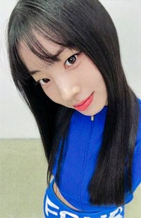 正規四 mk 預售 特典卡 團封