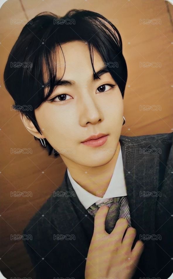 暗月特別專 專輯卡  正面