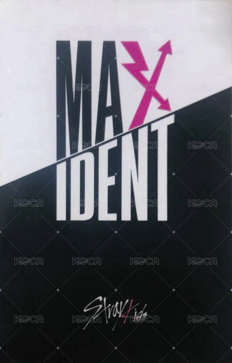 MAXIDENT bdm 特典卡 睡美人菲 背面