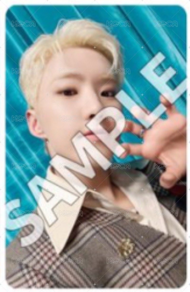 BSS<TELEPARTY> 日咖 WVS JP預售特典 特典卡  正面