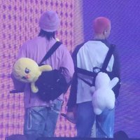 나비🦋