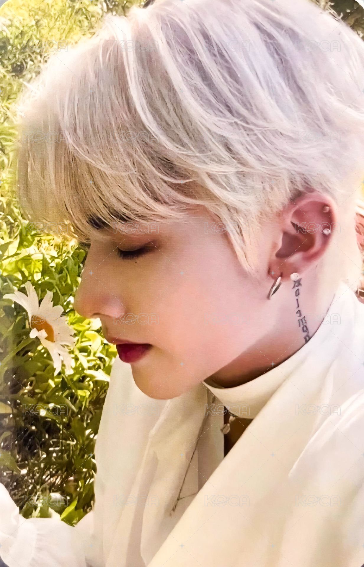 迷一 sw 特典卡 草地 ver. 正面