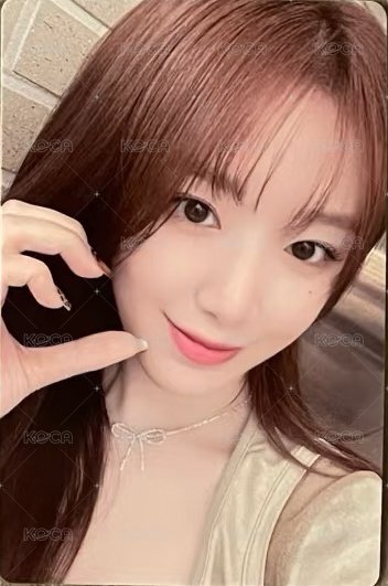 24’演唱會 iDOL 演唱會 DVD / CD 卡  正面