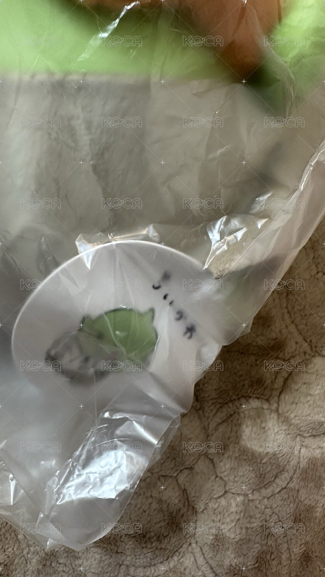 雞腿款