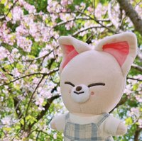 二手大娃
