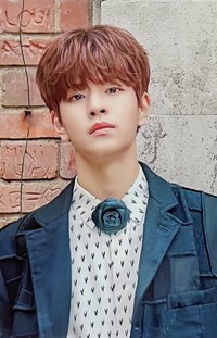 Stay in London 固配 周邊卡 