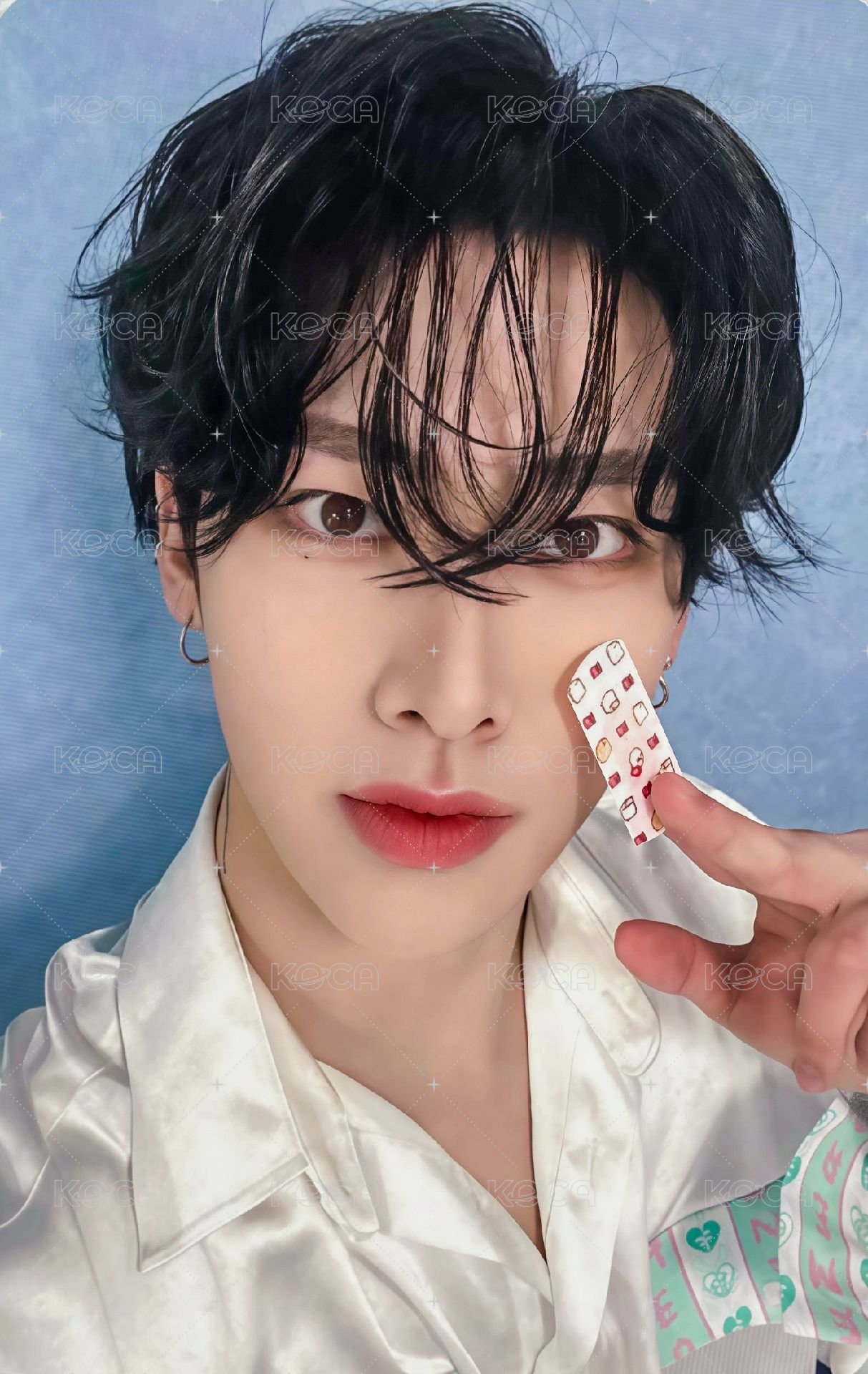 迷五 am 特典卡 動物創可貼ver. 正面