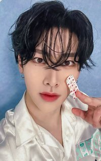 迷五 am 特典卡 動物創可貼ver.