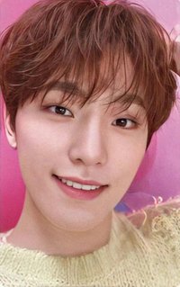 DREAM 日咖 特典卡 ｜WVSJP特典