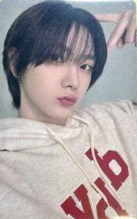 24 wvscon wvs 入場卡 / 場限卡 