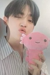 墨西哥快閃店 滿額卡 蠑螈卡