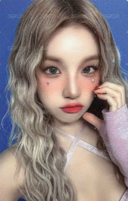 23世巡 演唱會 DVD / CD 卡  正面