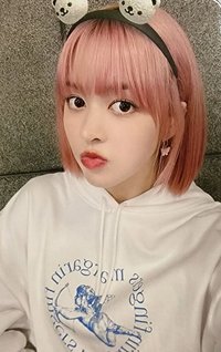 ENTWURF dmm 2.0 簽售卡 熊貓髮箍