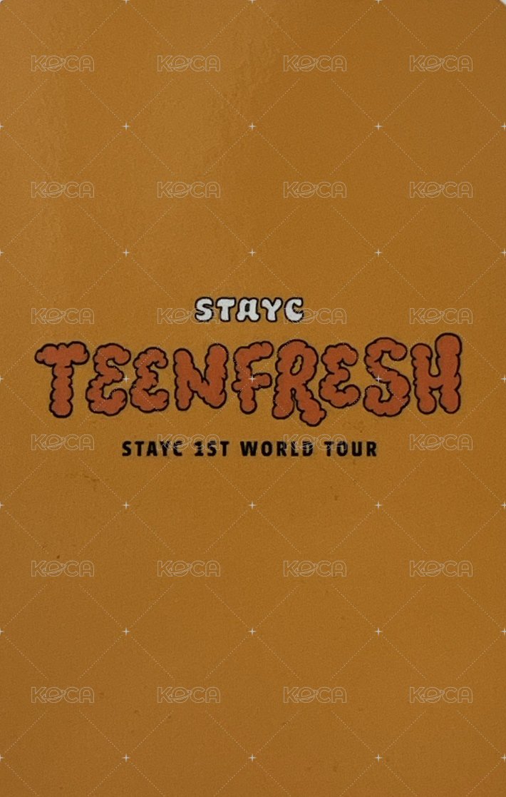1st World Tour TEENFRESH 入場卡 / 場限卡 首爾入場卡 花環莎 背面