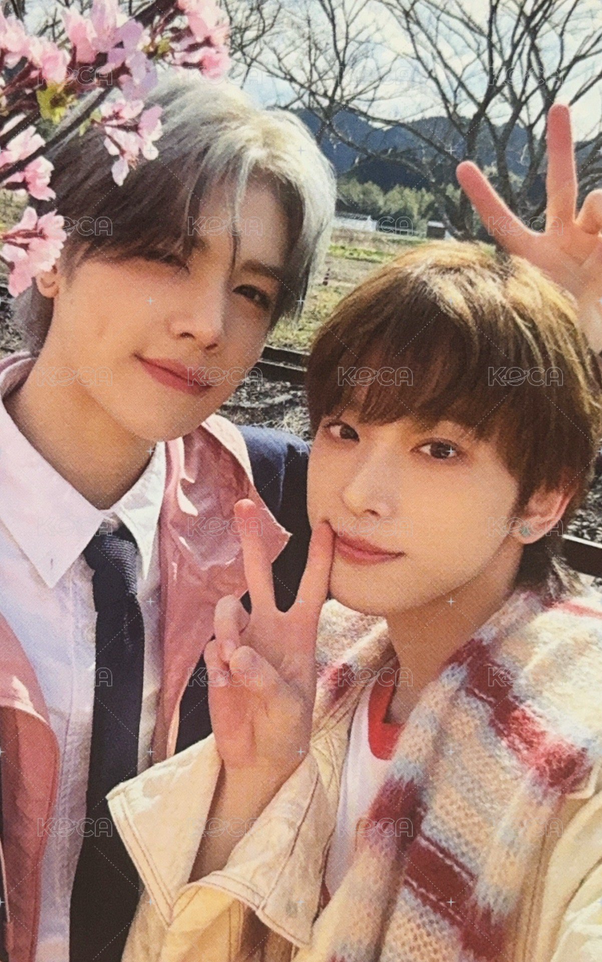 五月雨 (Samidare) 專輯卡 雙人小卡 Maki&Harua 正面