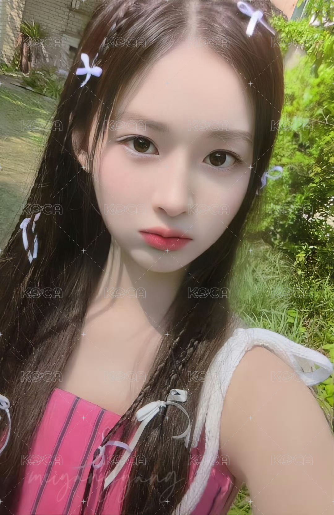 仲夏夜 wm 周邊卡 快閃貼紙卡薛 正面