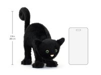 Spookipaws Cat 繃緊神經的貓