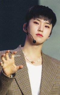 POL 演唱會 DVD / CD 卡 日巡藍光ver.