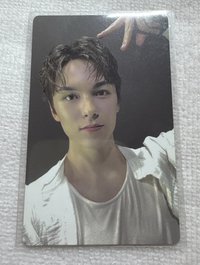 wvs率