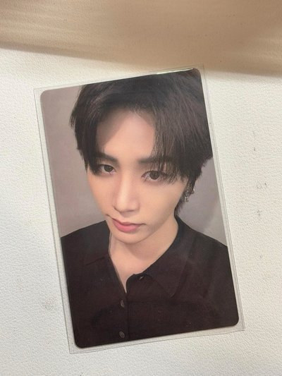 ✨泰山 音樂節特典