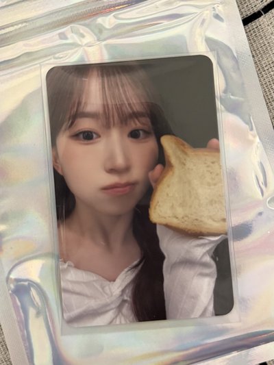 要來個貓咪麵包嗎