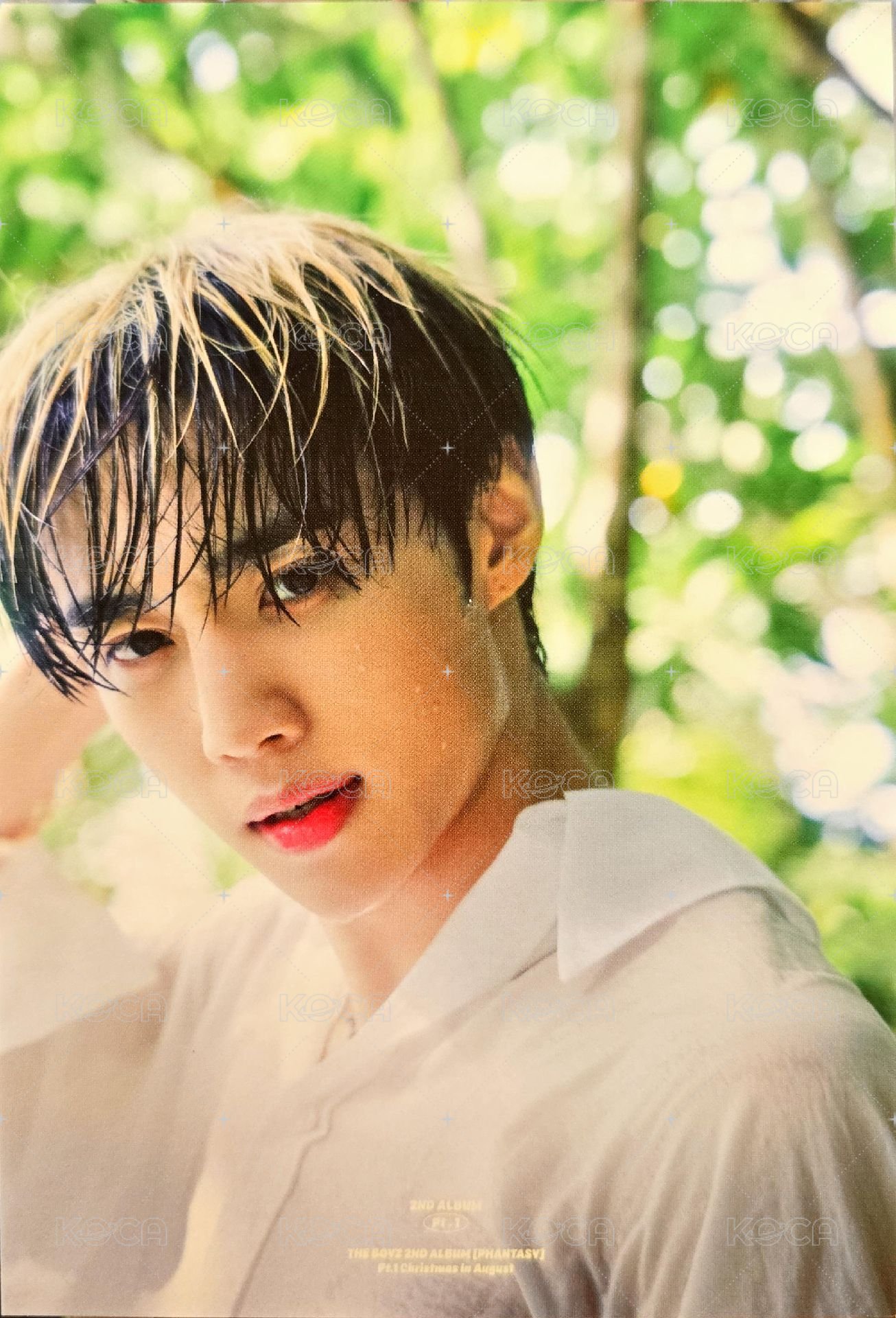 PHANTASY Pt.1 Christmas In August 明信片  正面