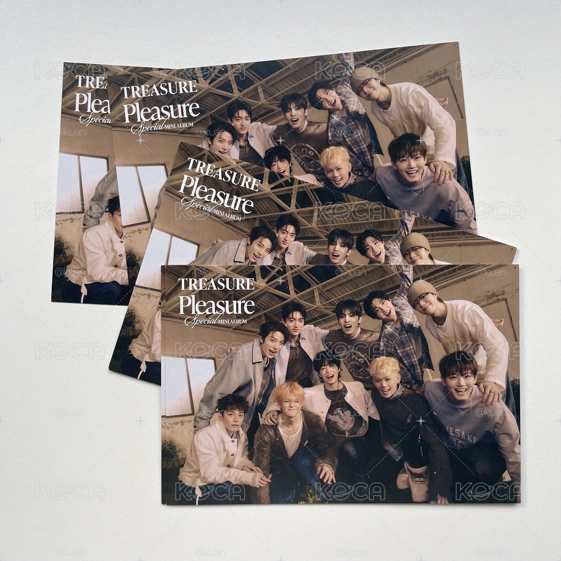TREASURE PLEASURE 未拆單封