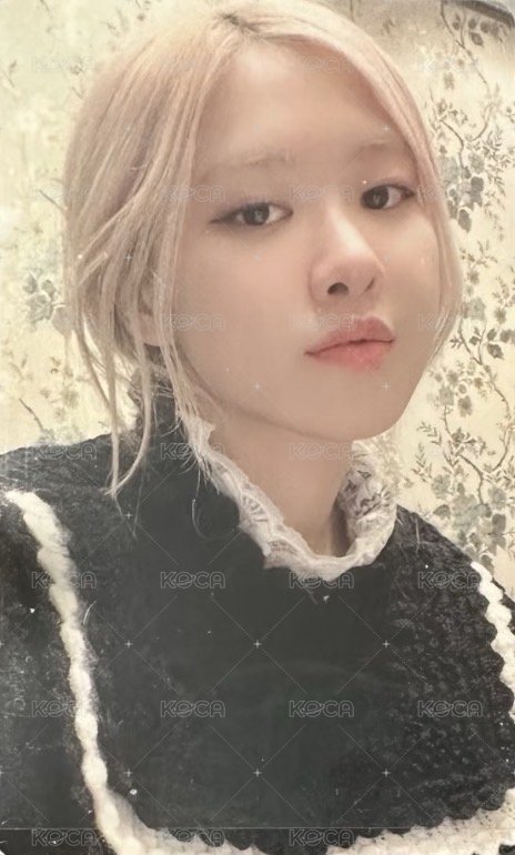 BLINK會員 日咖 早鳥 會員禮卡  正面