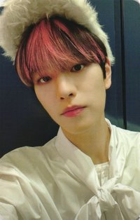 MAXIDENT sr 2.0 簽售卡 