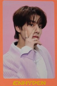 22年D社 雜誌卡 卡冊卡