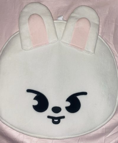 李旻浩大眼扇套