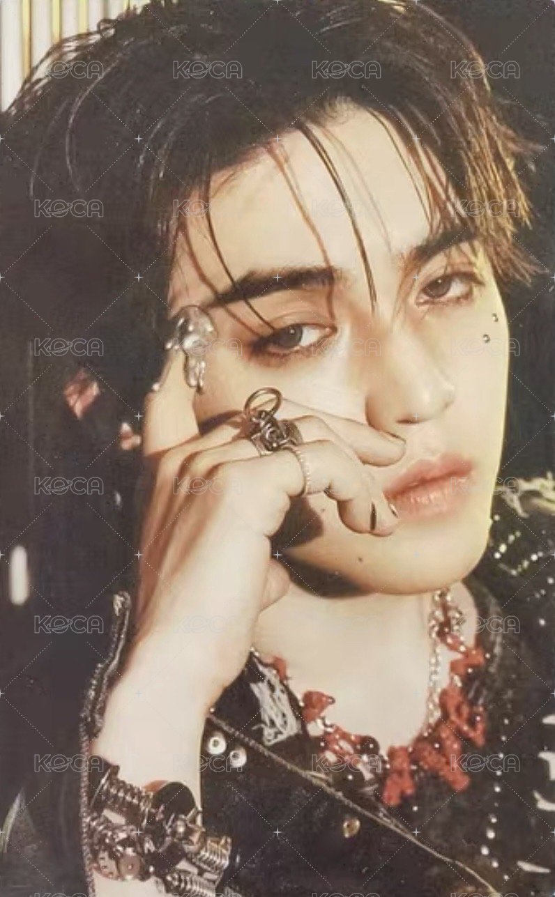 正五 專輯卡 正規五｜WVS電子專 ver. 正面