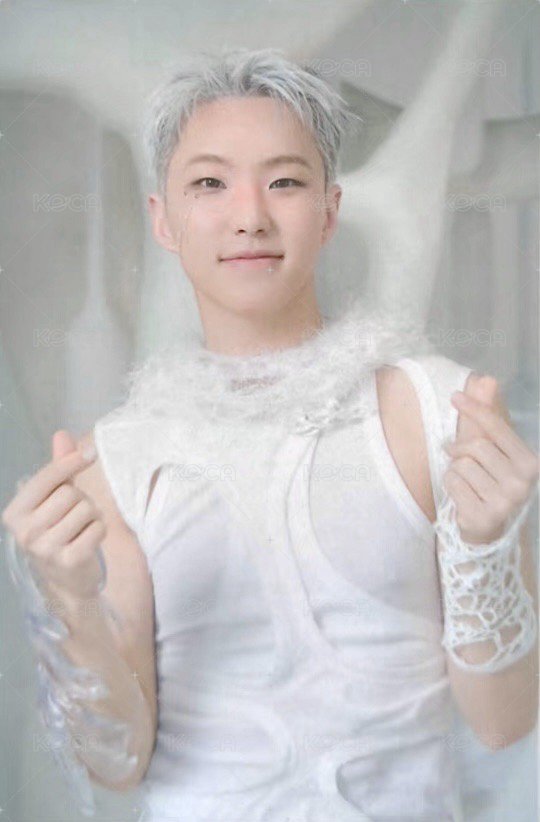 正五 日咖 特典卡 正五 風琴卡 正面