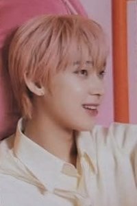 22年D社 雜誌卡 卡冊卡