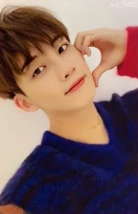 落花 專輯卡 CARAT ver