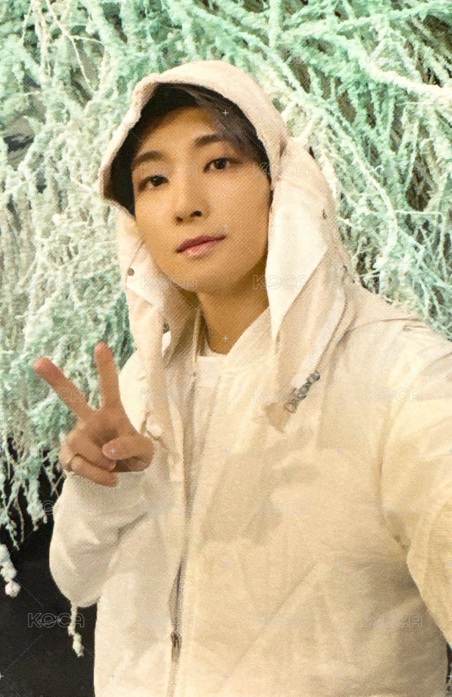 正四後續 專輯卡  正面