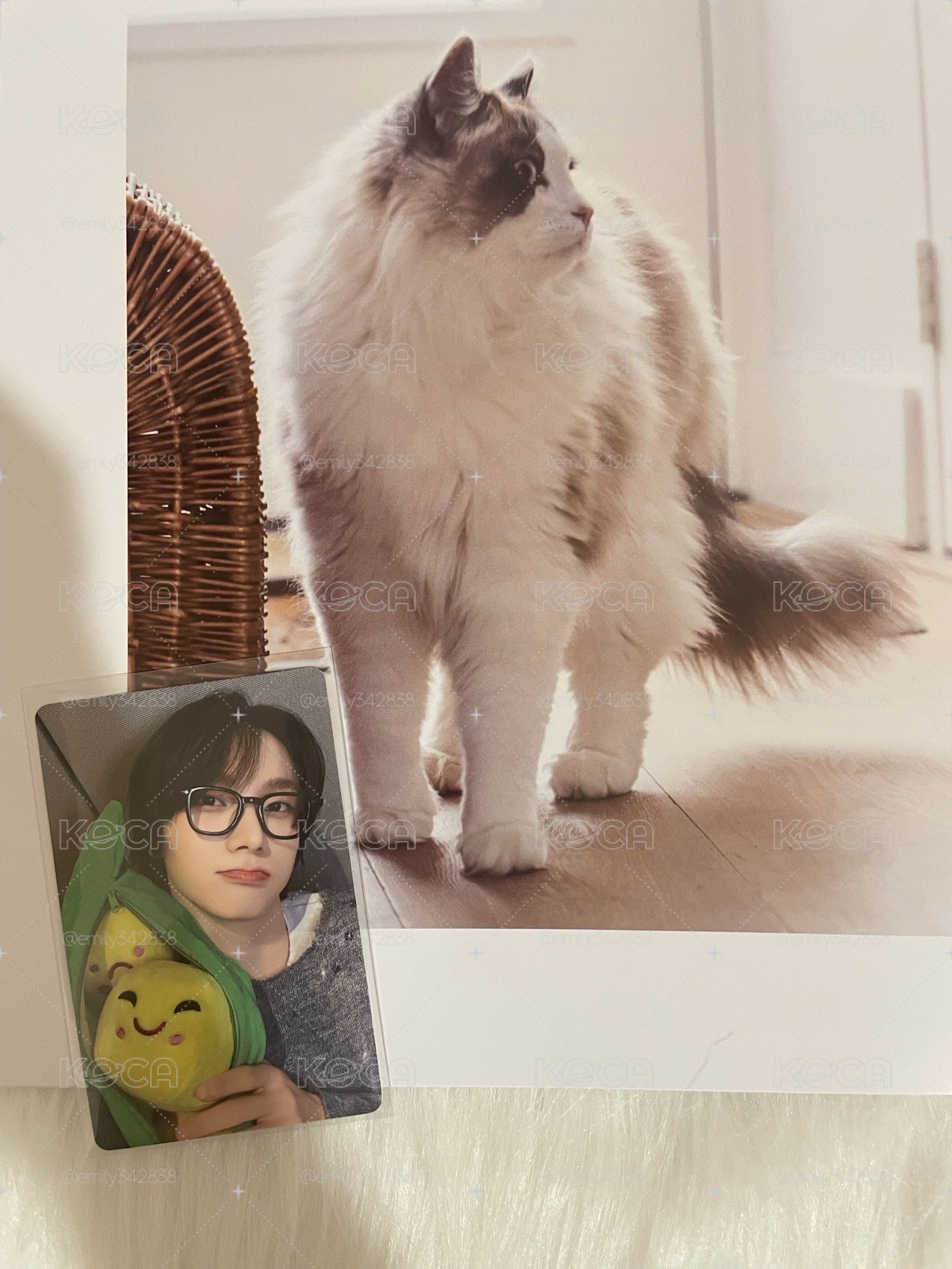 【BND】🐈19.99 yzy1.0特典 豌豆1