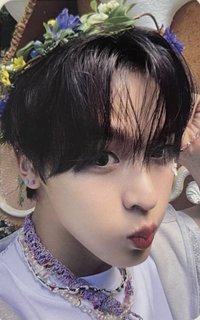 Songbird knpops 預售 特典卡 