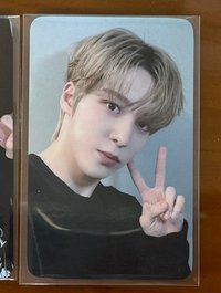 有點水腫的小狗