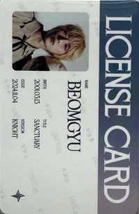 迷七 專輯卡 駕照