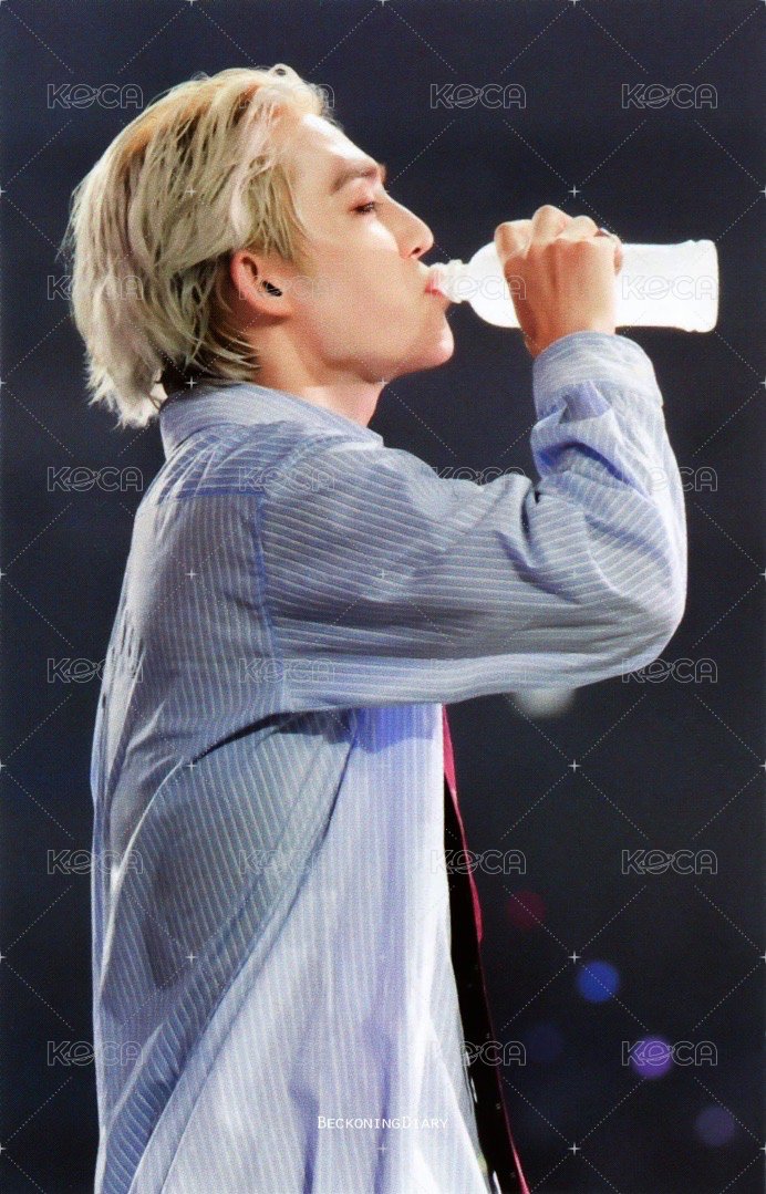 FOLLOW FELLOW 隨機卡 展會｜卡包 正面