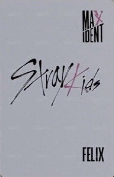 MAXIDENT Lotte Duty Free 樂天 特典卡  背面