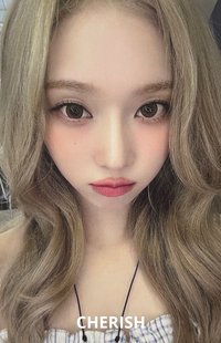 Whiplash 塔店 特典卡 冬