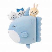 官網 中娃 翻車魚