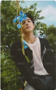 MINI11 專輯卡 WVS電子專ver  正面