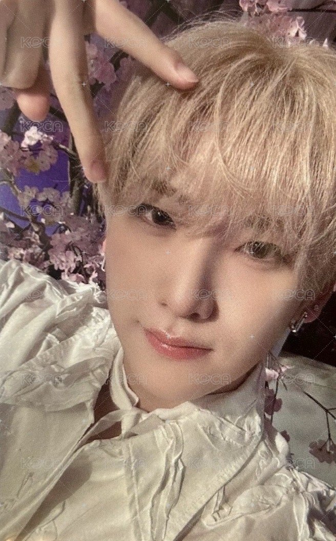 五月雨 (Samidare) wvs Gl 1.0 簽售卡  正面