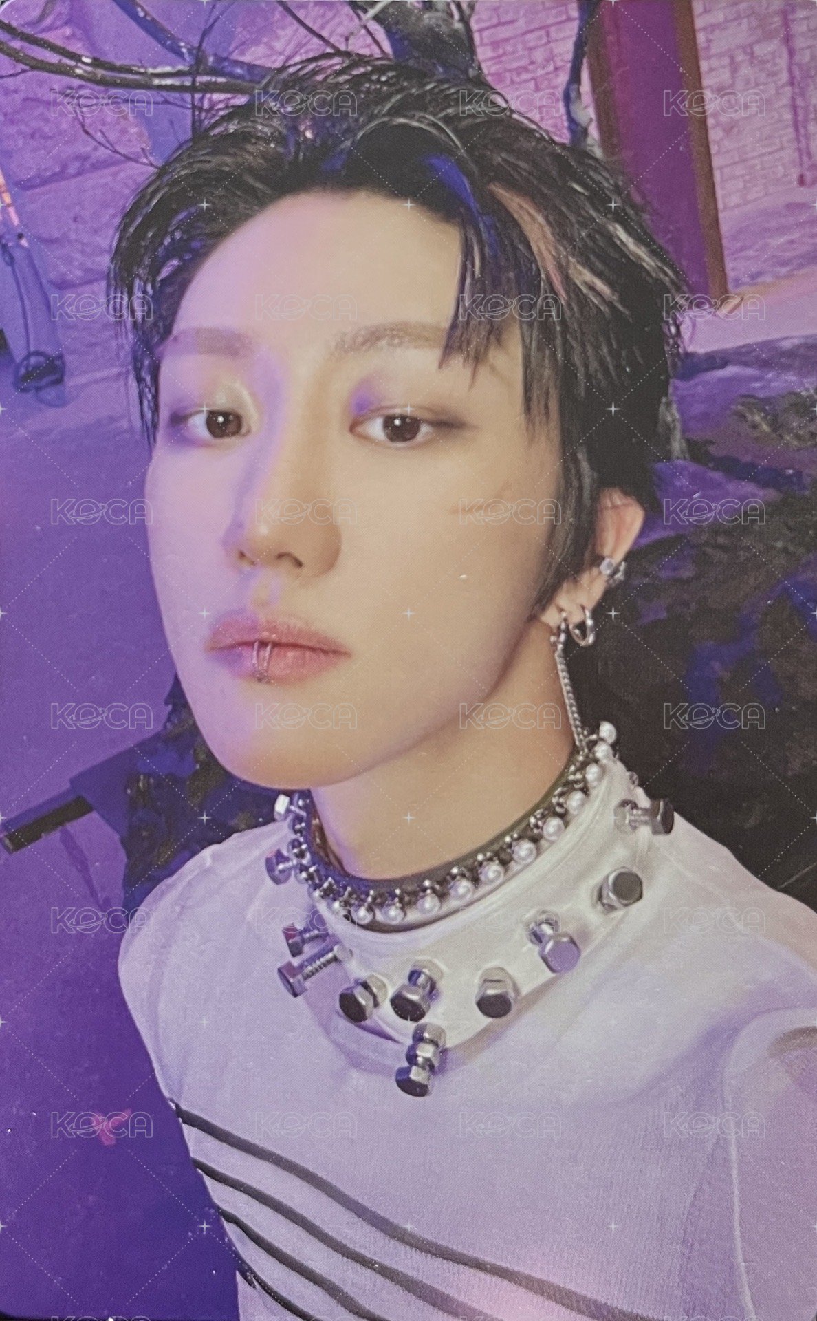 正五 專輯卡 正規五｜WVS電子專ver. 正面