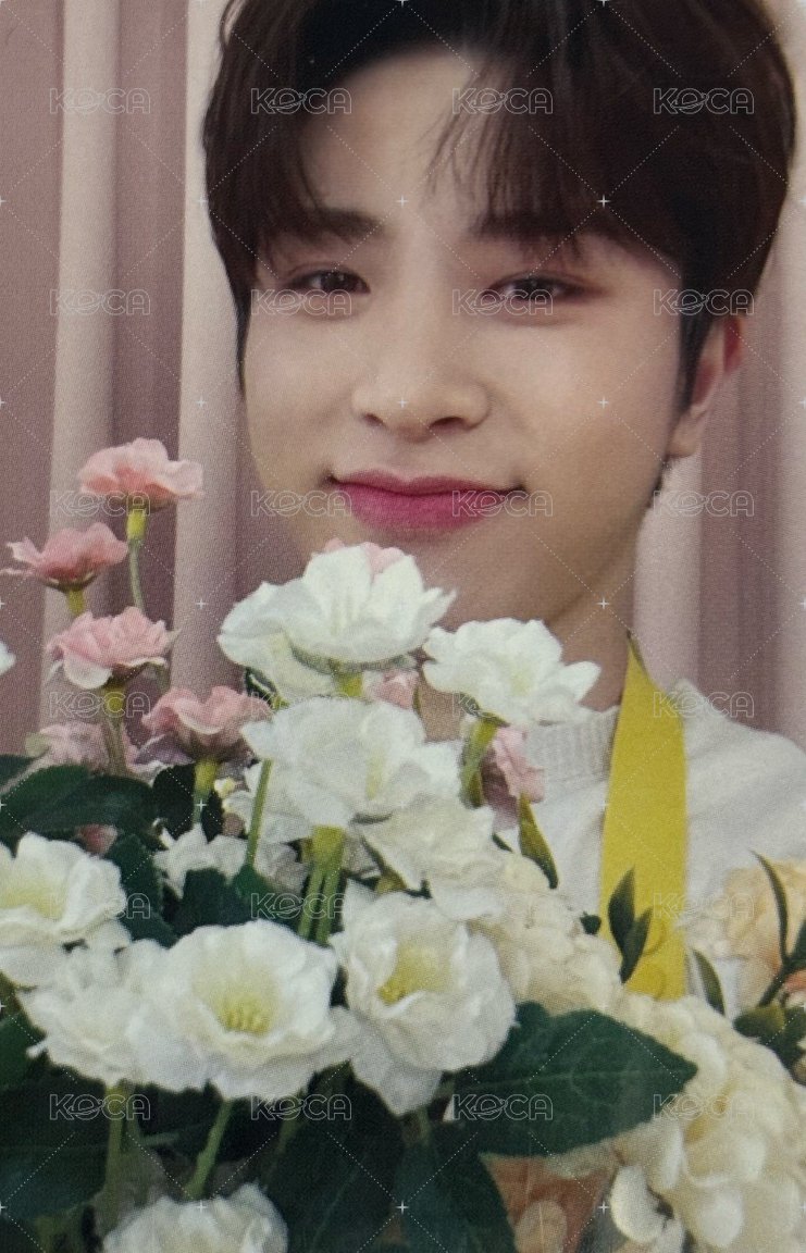 花店 周邊卡 寫真卡 正面